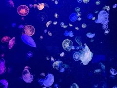 -南京海底世界