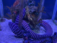 -太平洋海底世界