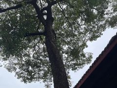 -平安桥天主教堂