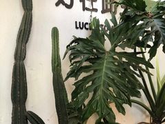 -云里小坐·小院里·团建·宴请·下午茶(三圣乡店)