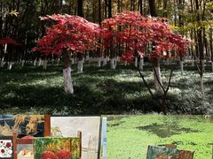 -钱江新城