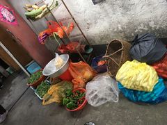 -大莲湖农家乐(青西郊野公园店)