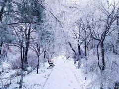 -吉林大学(前卫南区)