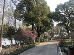 -金鸡湖桃花岛