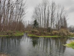 -桤木河湿地公园