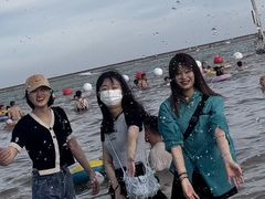 -碧海金沙