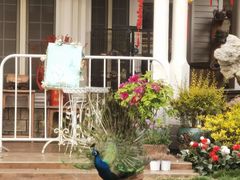 -J Create城市露营咖啡·简餐·宠物(上海动物园店)