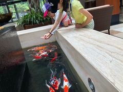 -苏州环秀晓筑养生度假村