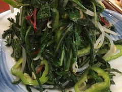清香枸杞苗-国强手抓(北京西路店)