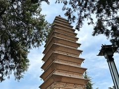 -洛阳白马寺