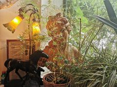 -露西亚咖啡西餐厅(哈尔滨俄侨纪念馆店)