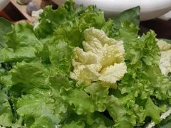 -蒙都43°9羊火锅(平庄店)