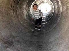 -田园东方蜜桃村的田野营地
