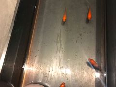 -日上三甘(三里屯店)