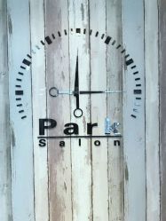 脏辫接发-Park Salon脏辫羽毛接发
