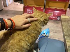-小时光咖啡馆(开森度假森林店)