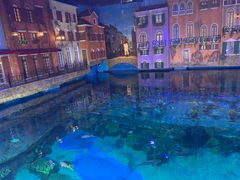 -华夏文旅海洋公园