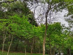 -广州市白云山风景名胜区
