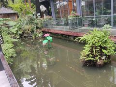 -大妙火锅·非物质文化遗产(东湖公园店)