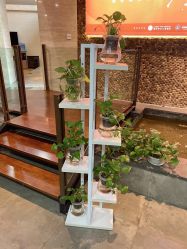 -糖豆儿童摄影(东南湖大路店)