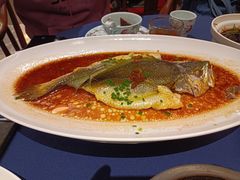 -维园悦谱·海派家常菜(乌鲁木齐南路店)