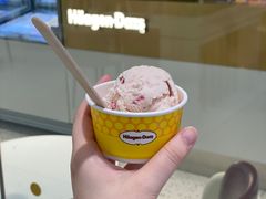 草莓覆盆子单球-哈根达斯(绍兴银泰店)