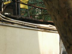 -Ginger(兴国路店)