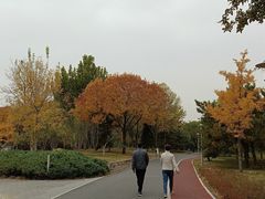 -望湖公园