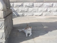 -宝通禅寺