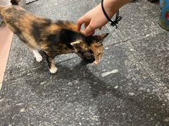 -再回首鸡肉米线(人民路一店)