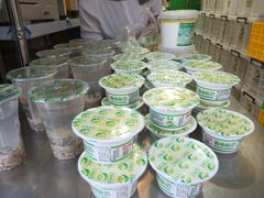 -德禄酸奶(莫家街店)