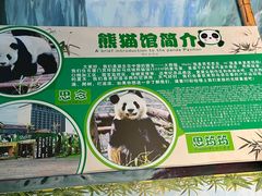 -灵玲国际马戏城