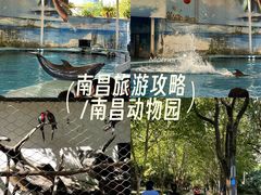 -南昌动物园