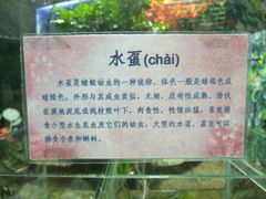 -上海大自然野生昆虫馆(东方明珠·爬宠昆虫探索中心)