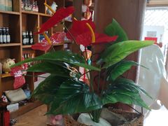 -宗泉烤全羊·烤羊腿·家常菜(解放东路店)