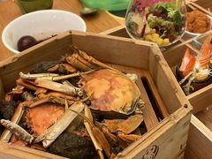 -熊猫自助餐厅.萌趣城堡(长隆熊猫酒店)