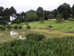 -铁山坪森林公园