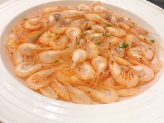 白米虾-龙宴海鲜城(经中路店)