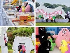 -广西壮族自治区药用植物园