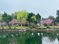 -无锡蠡湖国家湿地公园-蠡园