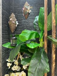 -芳朵美容养生SPA