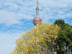 -哈根达斯(滨江店)