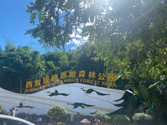 -西双版纳原始森林公园