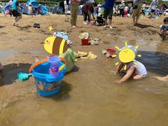 -碧海金沙
