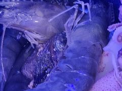 -澜悦港海鲜体验主题餐厅