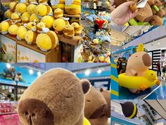 -凯德MALL(西直门店)