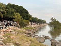-深圳湾公园(南山区)