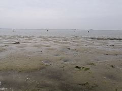 -北海金海湾红树林生态旅游区