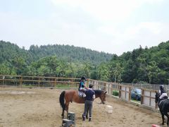 -枫露马术学院(藏书校区)