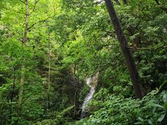 -雁荡山三折瀑景区